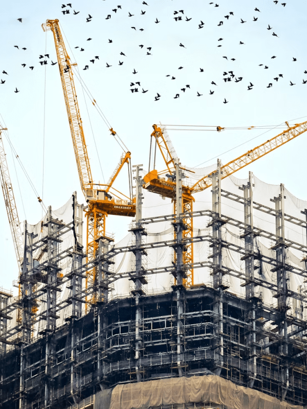 The new structure question: responding to the new effect&nbsp;focus