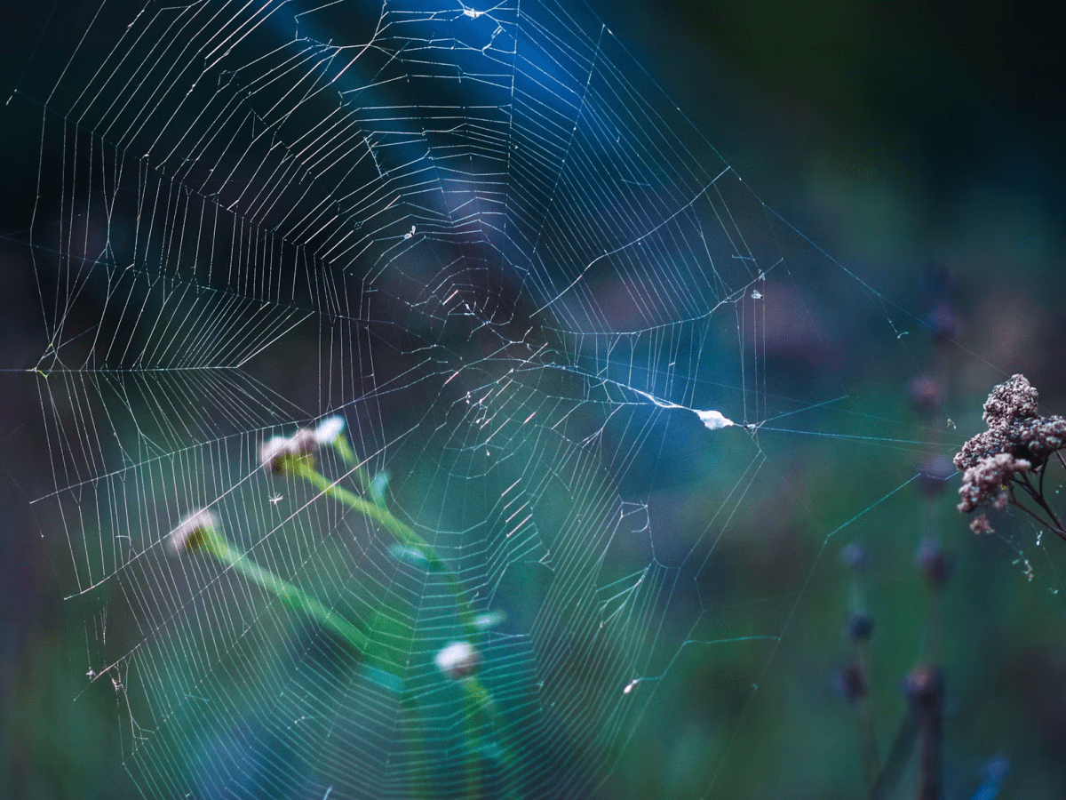 The web of plot: securing textual&nbsp;agility