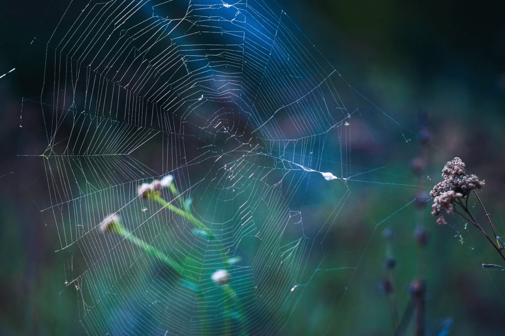 The web of plot: securing textual&nbsp;agility